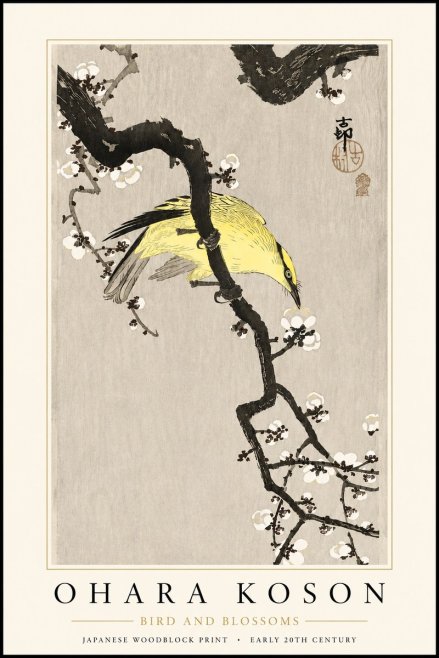 Ohara Koson Bird and Blossoms No3 - Plakat