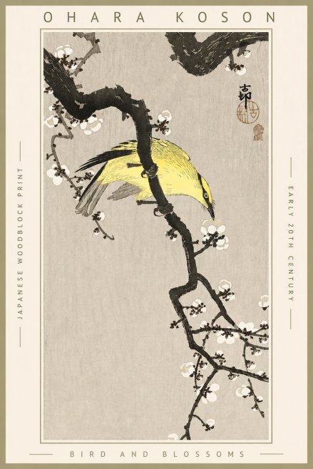 Ohara Koson Bird and Blossoms No4 - Plakat