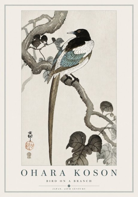 Ohara Koson Bird on a Branch IV No5 - Plakat