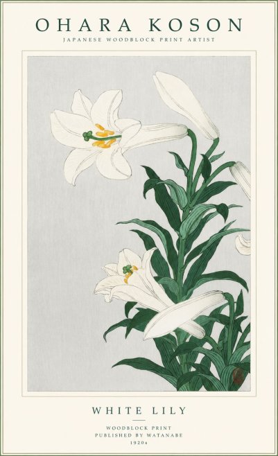 Ohara Koson White Lily No1 - Plakat