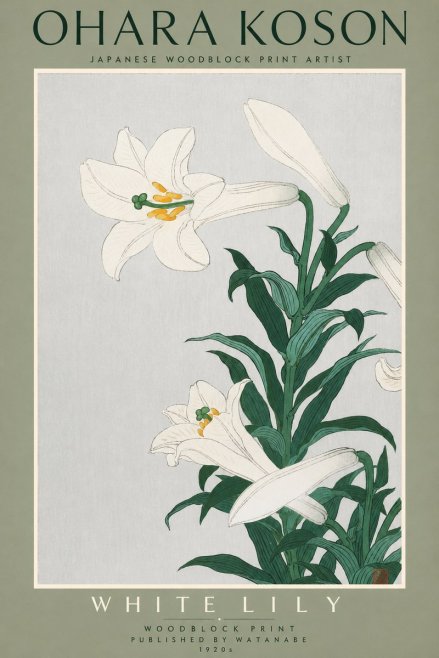 Ohara Koson White Lily No2 - Plakat