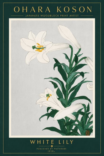 Ohara Koson White Lily No4 - Plakat
