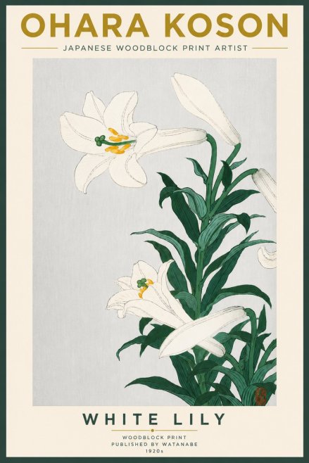 Ohara Koson White Lily No5 - Plakat