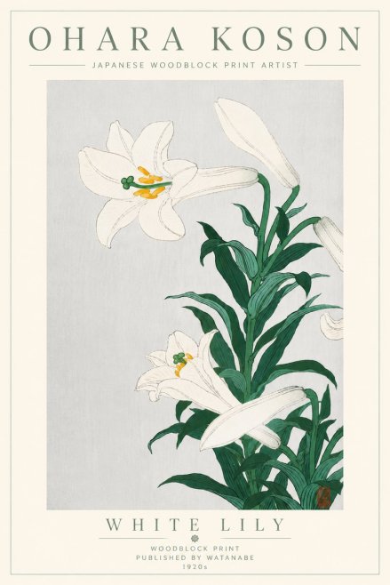 Ohara Koson White Lily No6 - Plakat