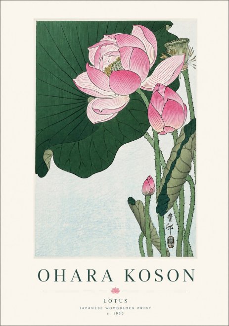 Ohara Koson Lotus II No1 - Plakat