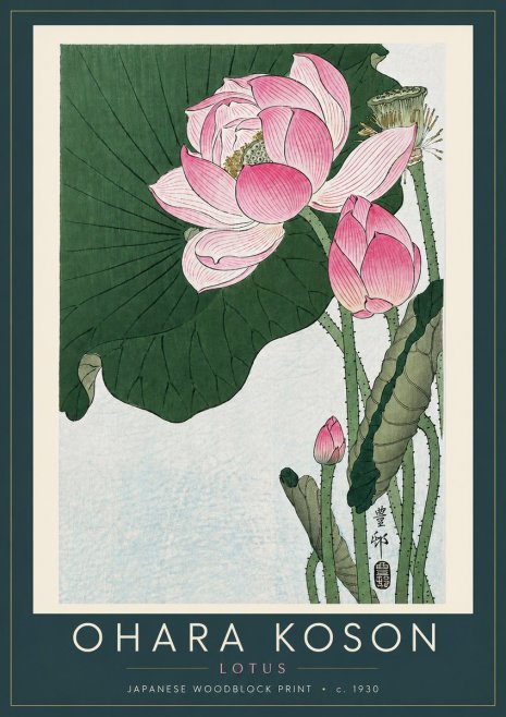 Ohara Koson Lotus II No6 - Plakat