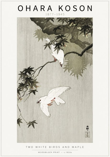 Ohara Koson Two White Birds and Maple No5 - Plakat