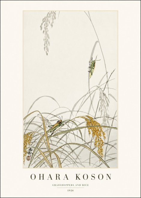 Ohara Koson Grasshoppers and Rice No1 - Plakat