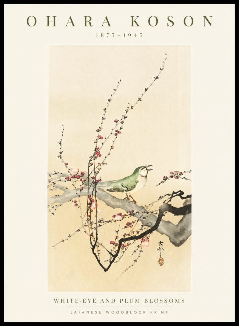 Ohara Koson White-eye and Plum Blossoms No1 - Plakat