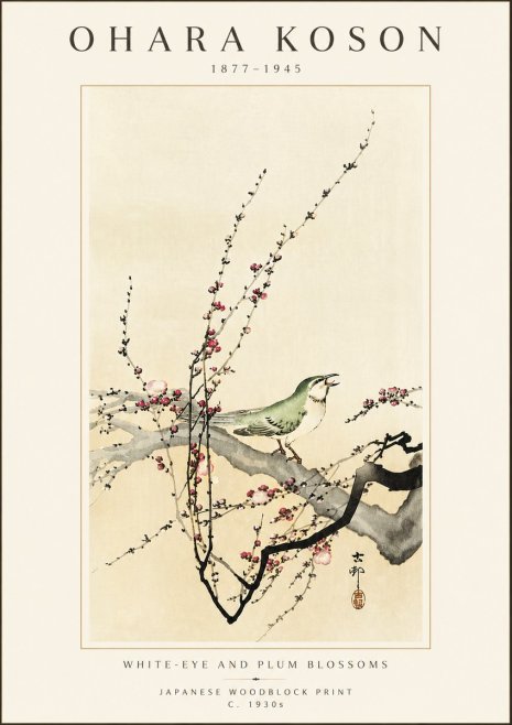 Ohara Koson White-eye and Plum Blossoms No5 - Plakat