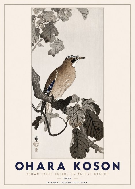 Ohara Koson Brown-eared Bulbul on an Oak Branch No3 - Plakat