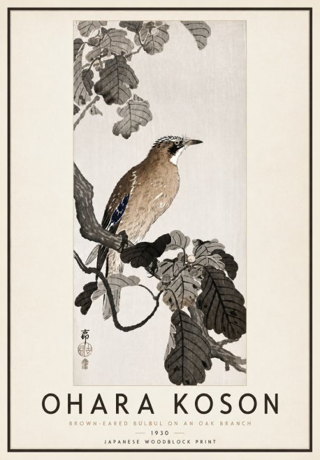 Ohara Koson Brown-eared Bulbul on an Oak Branch No4 - Plakat
