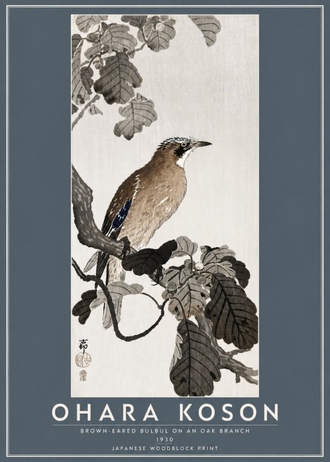 Ohara Koson Brown-eared Bulbul on an Oak Branch No5 - Plakat