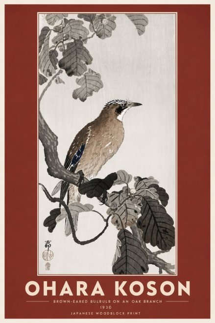 Ohara Koson Brown-eared Bulbul on an Oak Branch No6 - Plakat