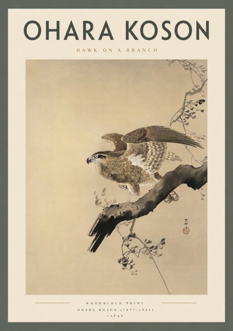 Ohara Koson Hawk on a Branch I No2 - Plakat