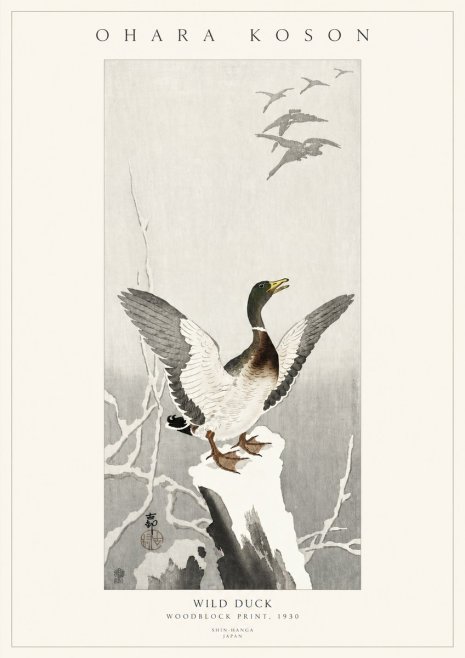 Ohara Koson Wild Duck No3 - Plakat