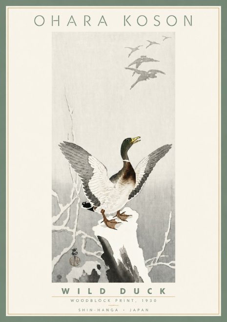 Ohara Koson Wild Duck No4 - Plakat