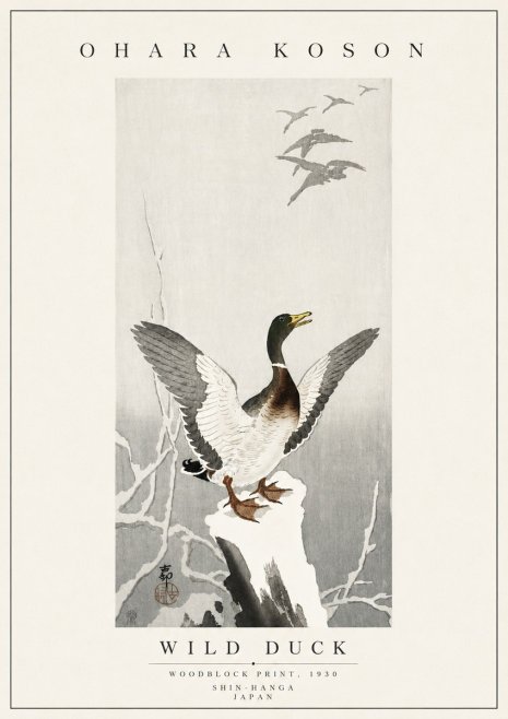 Ohara Koson Wild Duck No5 - Plakat