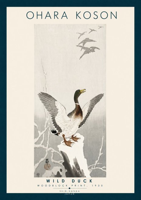 Ohara Koson Wild Duck No6 - Plakat