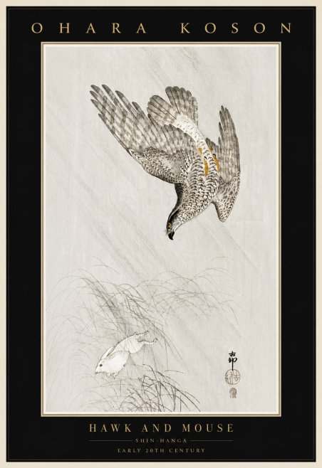 Ohara Koson Hawk and Mouse No4 - Plakat