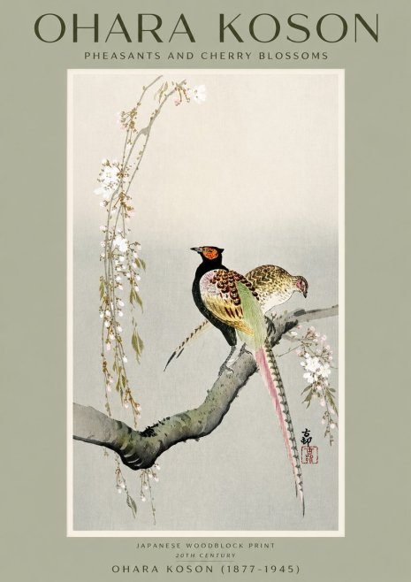 Ohara Koson Pheasants and Cherry Blossoms II No2 - Plakat