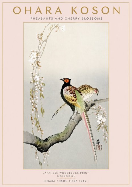 Ohara Koson Pheasants and Cherry Blossoms II No3 - Plakat