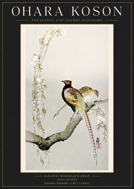Ohara Koson Pheasants and Cherry Blossoms II No4 - Plakat