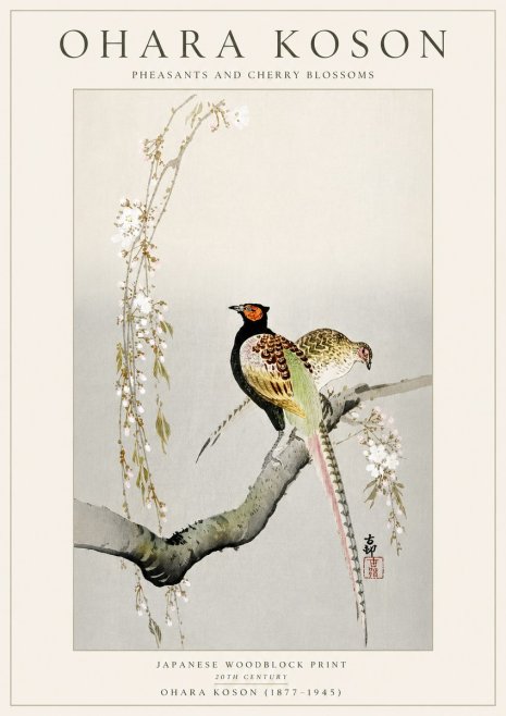 Ohara Koson Pheasants and Cherry Blossoms II No5 - Plakat