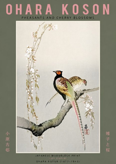 Ohara Koson Pheasants and Cherry Blossoms II No6 - Plakat