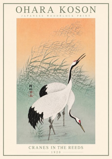 Ohara Koson Cranes in the Reeds No5 - Plakat