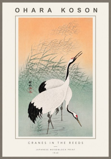 Ohara Koson Cranes in the Reeds No6 - Plakat