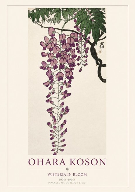 Ohara Koson Wisteria in Bloom No1 - Plakat