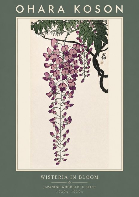 Ohara Koson Wisteria in Bloom No2 - Plakat