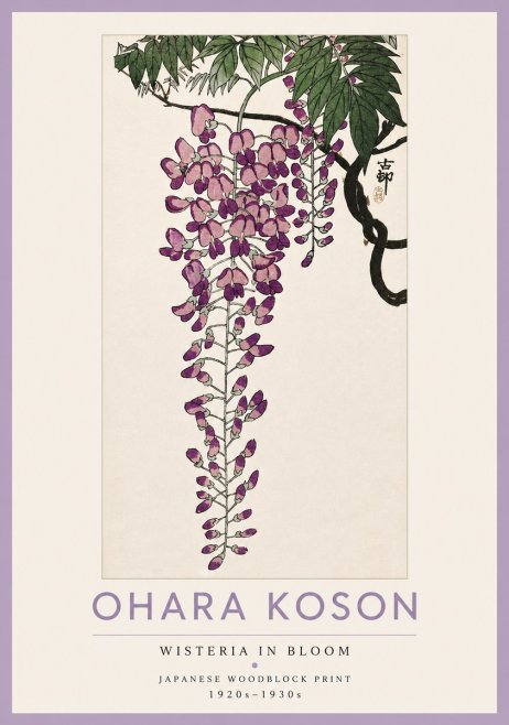 Ohara Koson Wisteria in Bloom No4 - Plakat