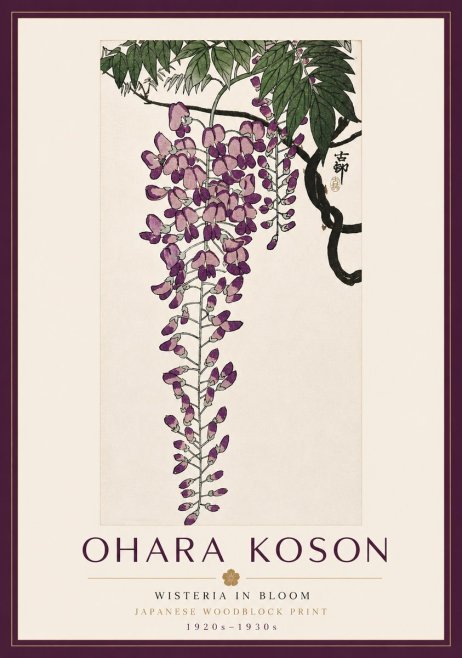 Ohara Koson Wisteria in Bloom No6 - Plakat