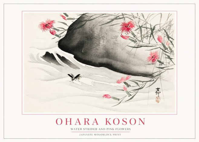 Ohara Koson Water Strider and Pink Flowers No2 - Plakat