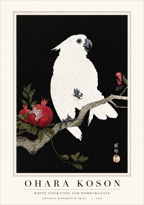 Ohara Koson White Cockatoo and Pomegranate I No6 - Plakat