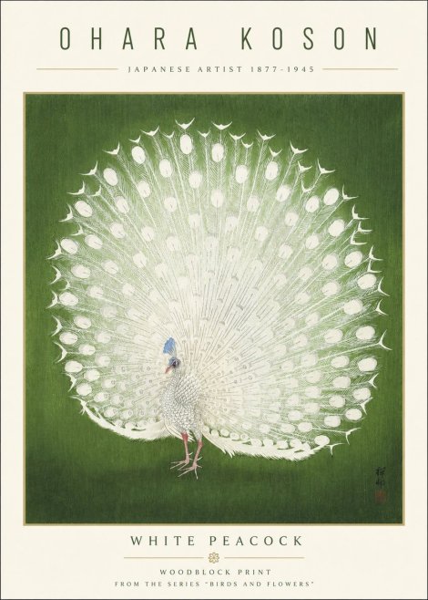 Ohara Koson White Peacock No3 - Plakat