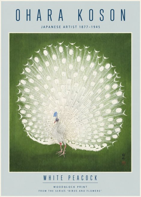 Ohara Koson White Peacock No4 - Plakat
