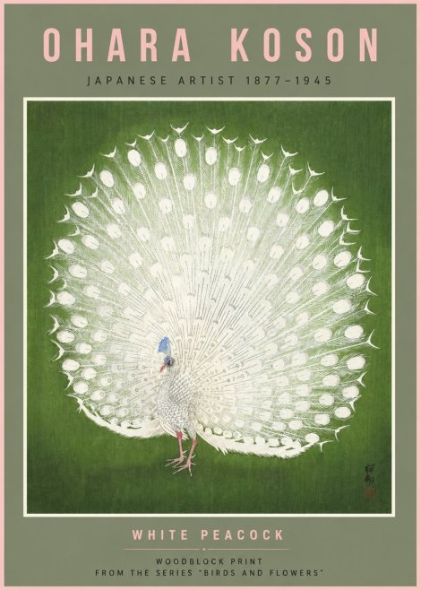 Ohara Koson White Peacock No6 - Plakat