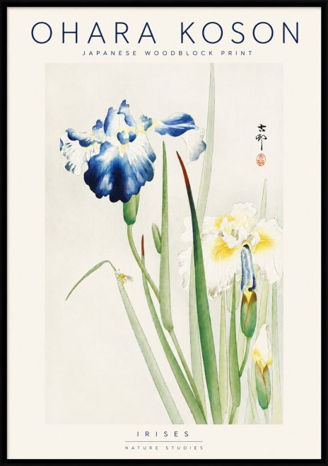 Ohara Koson Irises II No3 - Plakat