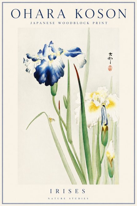 Ohara Koson Irises II No4 - Plakat