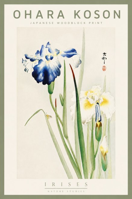 Ohara Koson Irises II No5 - Plakat
