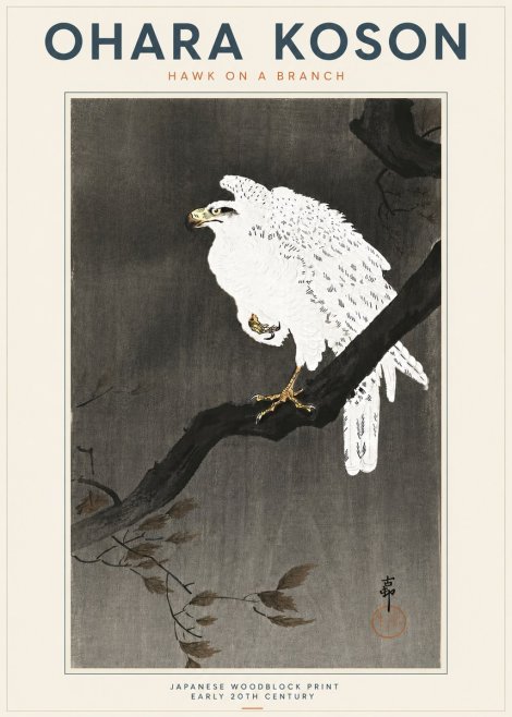 Ohara Koson Hawk on a Branch II No5 - Plakat