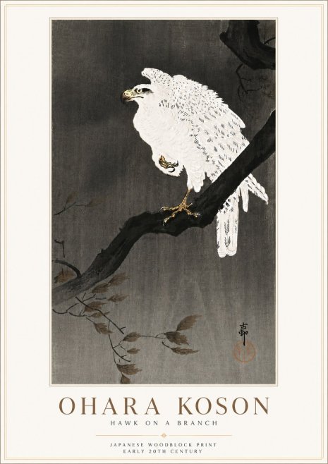 Ohara Koson Hawk on a Branch II No6 - Plakat