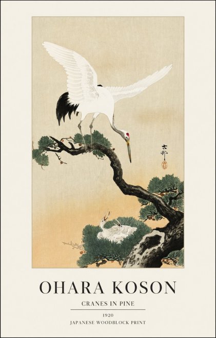 Ohara Koson Cranes in Pine No1 - Plakat