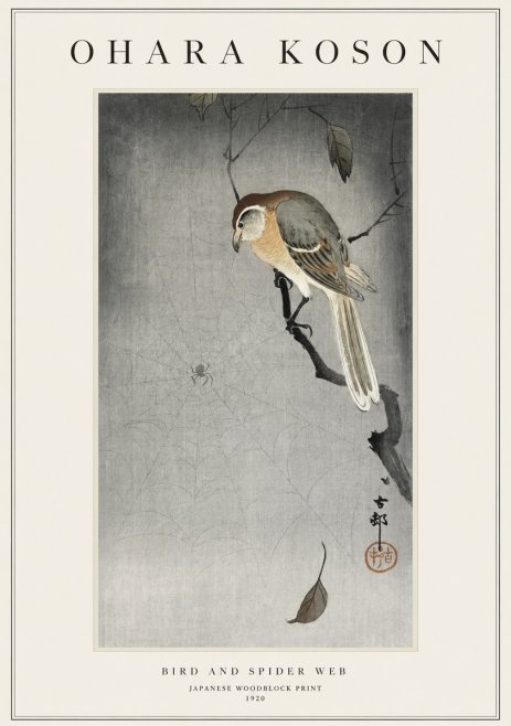 Ohara Koson Bird and Spider Web II No1 - Plakat