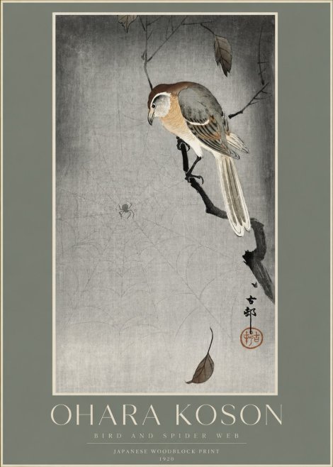 Ohara Koson Bird and Spider Web II No2 - Plakat