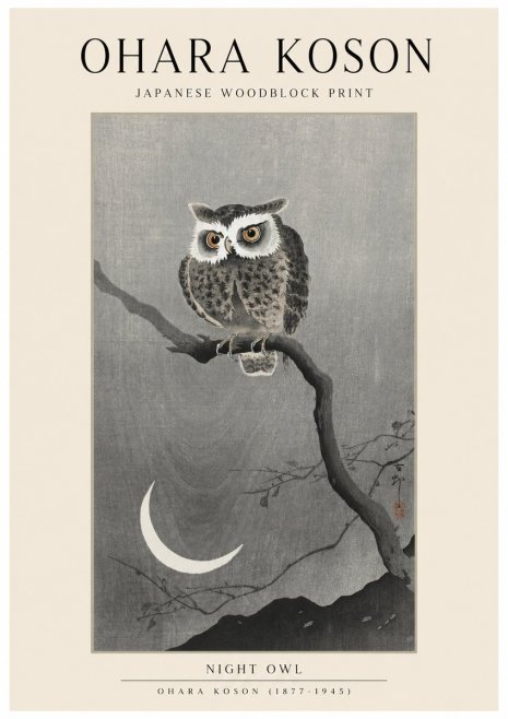 Ohara Koson Night Owl No1 - Plakat
