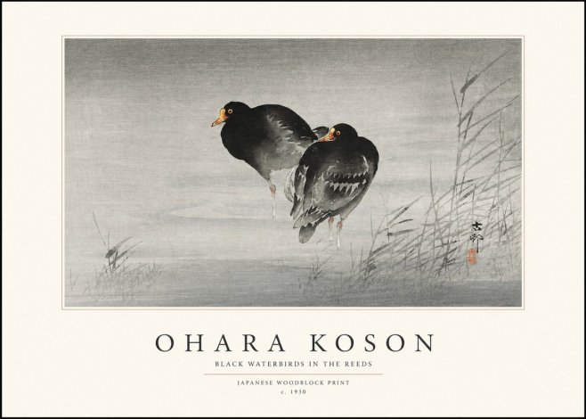 Ohara Koson Black Waterbirds in the Reeds No1 - Plakat